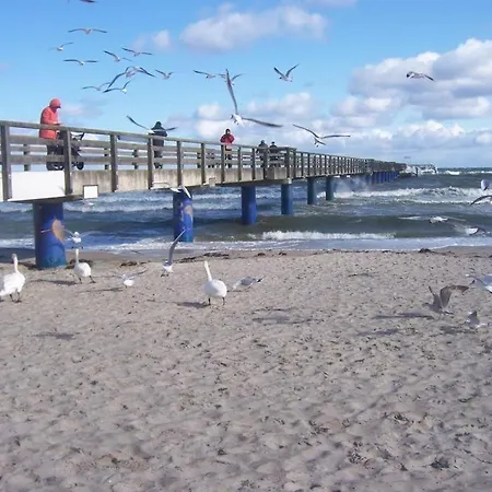 아파트 Schwarzer Baer Whg Baer 04 *