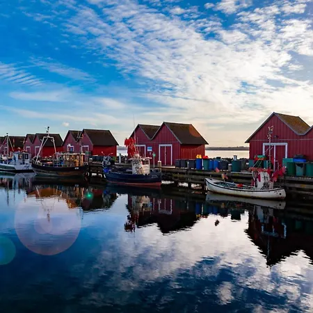 Schwarzer Baer Whg Baer 04 *